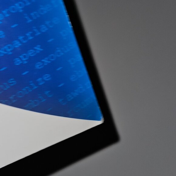 Vocabulary Cartoons SAT Word Power Paperback Book Study Revised Memory Technique - Picture 6 of 10